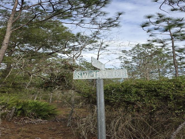 SW 159TH COURT, Ocala, FL 34481