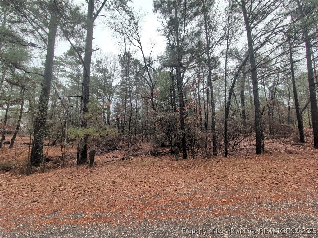 1211 Laurel Circle, Vass, NC 28394 — exterior