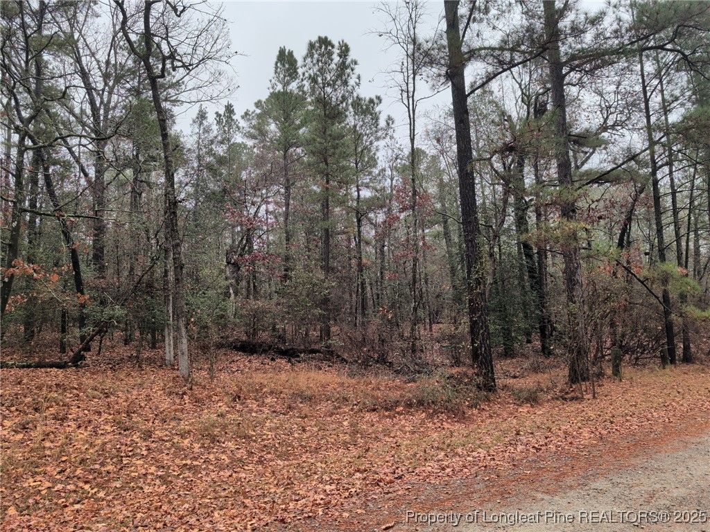 1211 Laurel Circle, Vass, NC 28394 — photo 2