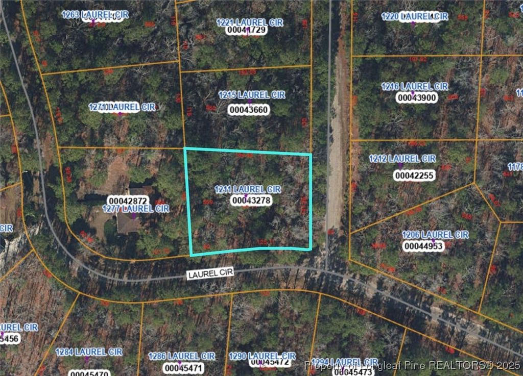 1211 Laurel Circle, Vass, NC 28394 — photo 4