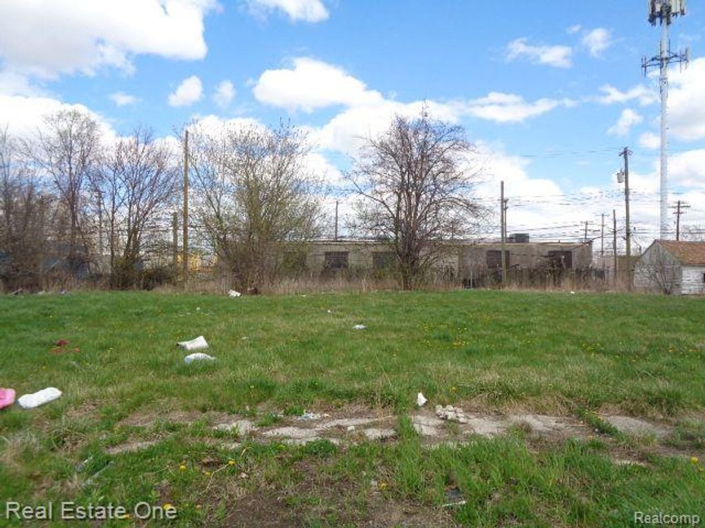 11670 Saint Louis Street, Hamtramck, MI 48212