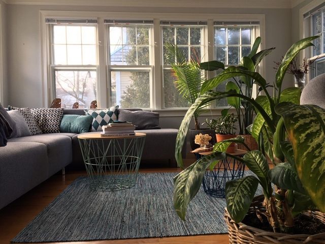 279 Walnut Street 2, Brookline, MA 02445