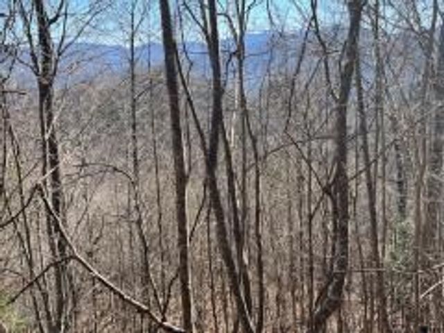 Lot 30 Hidden Summit Road, Hiawassee, GA 30546