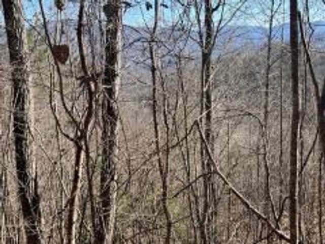 Lot 30 Hidden Summit Road, Hiawassee, GA 30546