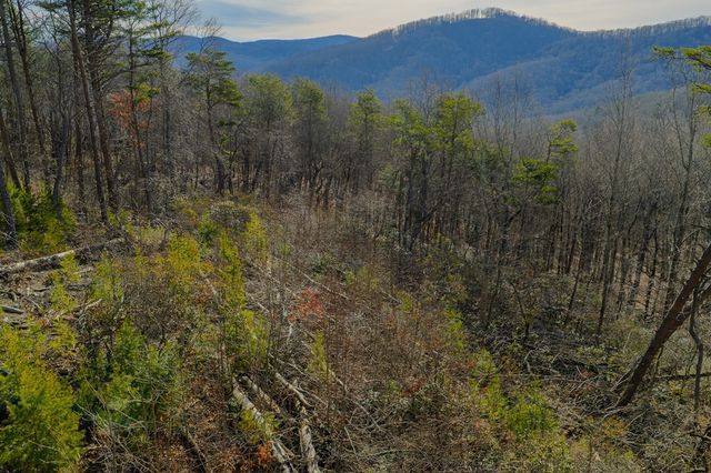 Lot 52 High Summit Drive, Talking Rock, GA 30175