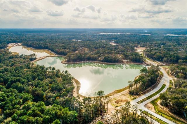 22230 Junction Peak Drive, Porter Heights, TX 77365