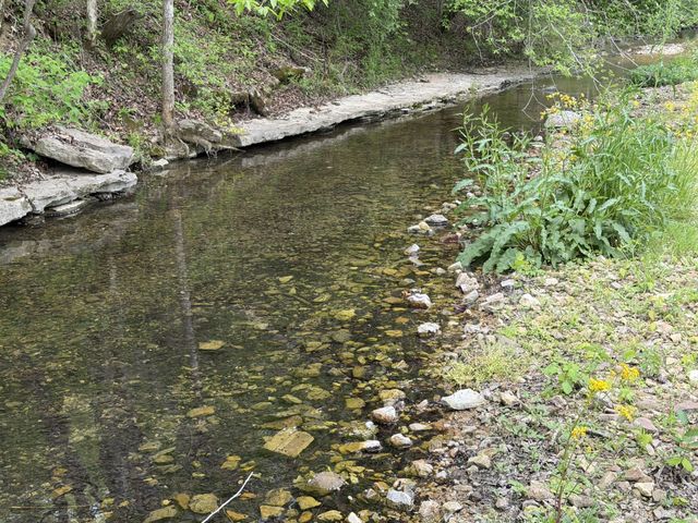 580 Defeated Creek Rd, Centerville, TN 37033