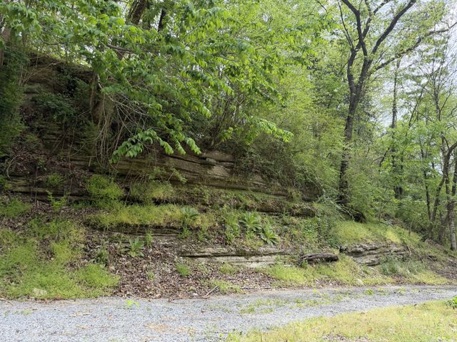 580 Defeated Creek Rd, Centerville, TN 37033