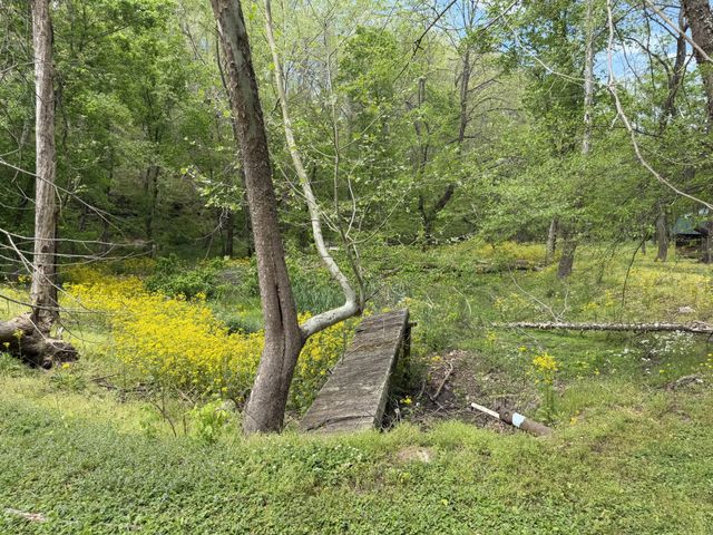 580 Defeated Creek Rd, Centerville, TN 37033