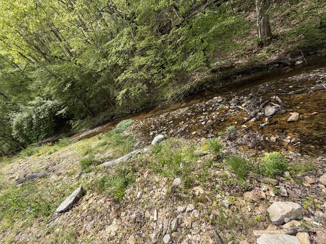 580 Defeated Creek Rd, Centerville, TN 37033
