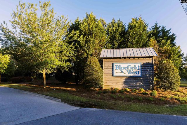 515 Winterfield Drive, Lexington, SC 29073