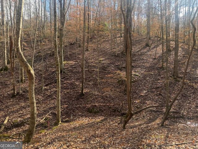LOT 2750 Nimrod Court, Ellijay, GA 30540