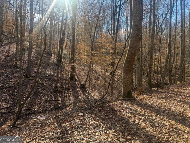 LOT 2750 Nimrod Court, Ellijay, GA 30540