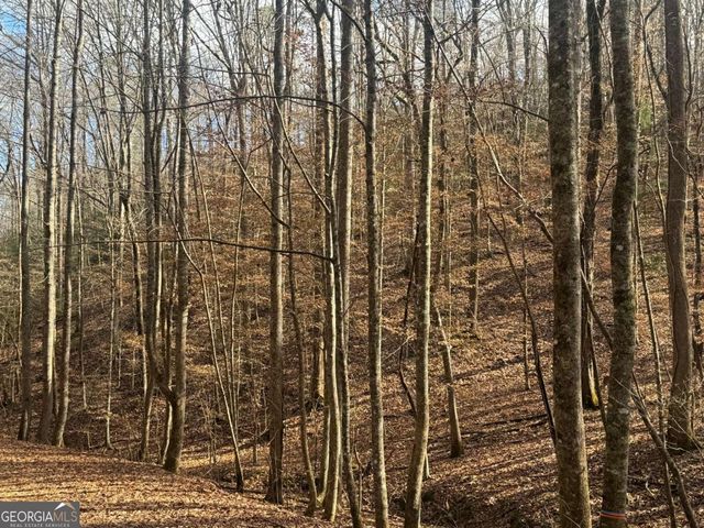 LOT 2750 Nimrod Court, Ellijay, GA 30540