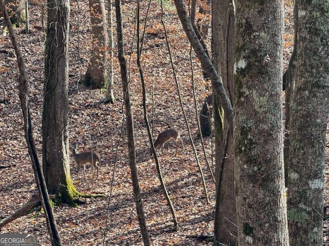 LOT 2750 Nimrod Court, Ellijay, GA 30540