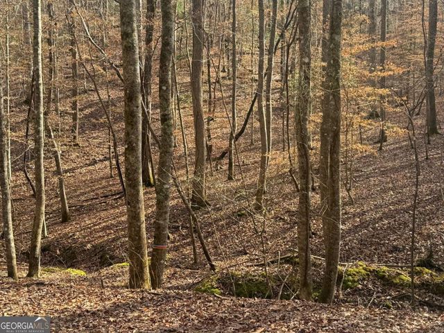 LOT 2750 Nimrod Court, Ellijay, GA 30540