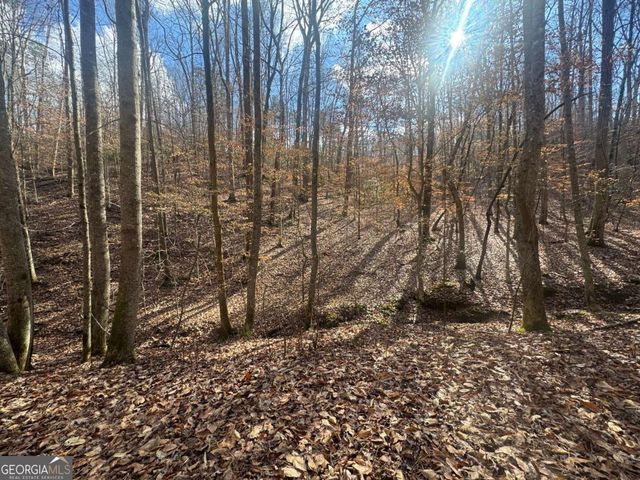LOT 2750 Nimrod Court, Ellijay, GA 30540