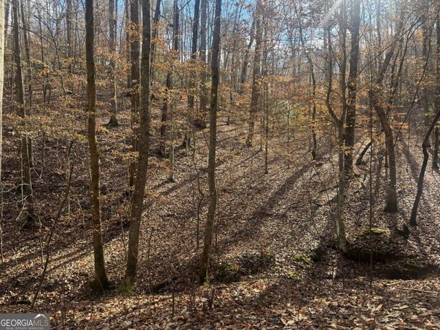 LOT 2750 Nimrod Court, Ellijay, GA 30540