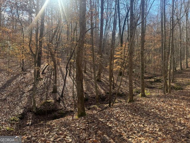 LOT 2750 Nimrod Court, Ellijay, GA 30540