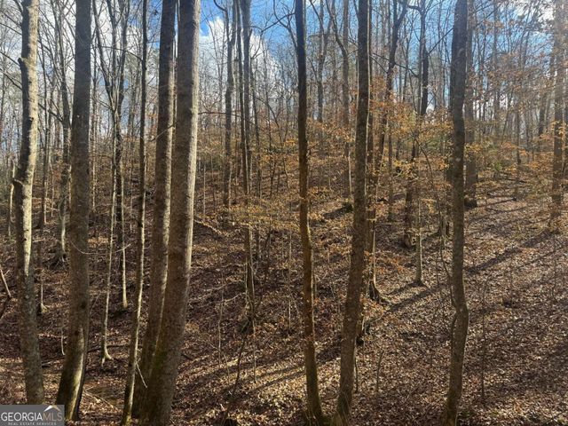 LOT 2750 Nimrod Court, Ellijay, GA 30540