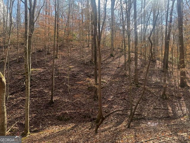 LOT 2750 Nimrod Court, Ellijay, GA 30540