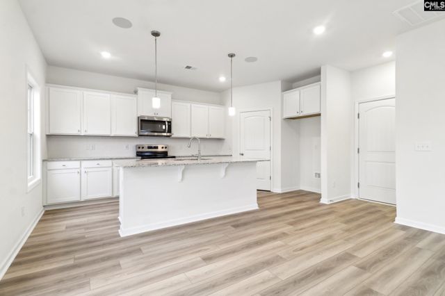 582 Griffon Drive, Chapin, SC 29036