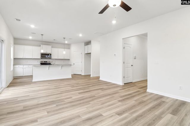 582 Griffon Drive, Chapin, SC 29036