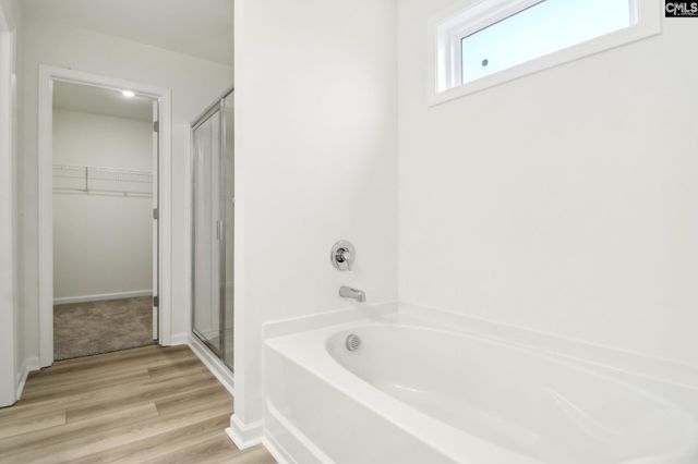 582 Griffon Drive, Chapin, SC 29036