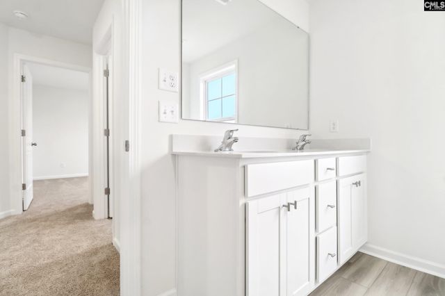 582 Griffon Drive, Chapin, SC 29036