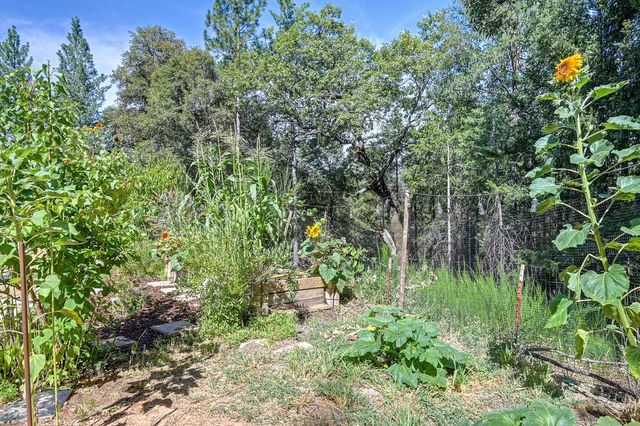 4903 Scotch Broom Ln, Garden Valley, CA 95633