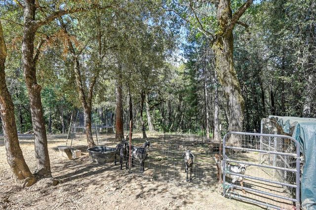 4903 Scotch Broom Ln, Garden Valley, CA 95633