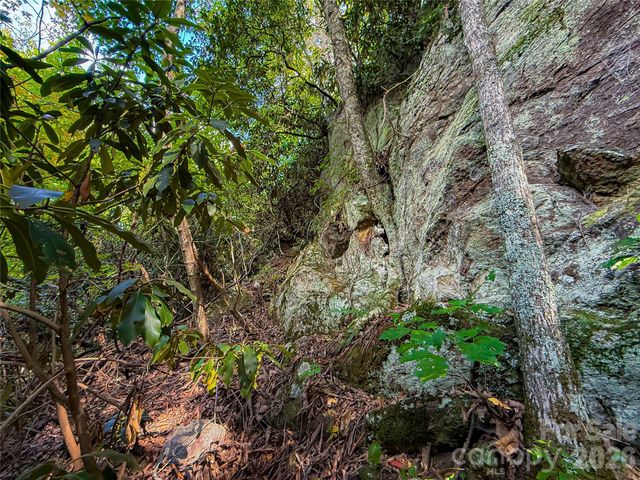 99999 High Top Mountain Road Lots 1, 2 & 3, Leicester, NC 28748