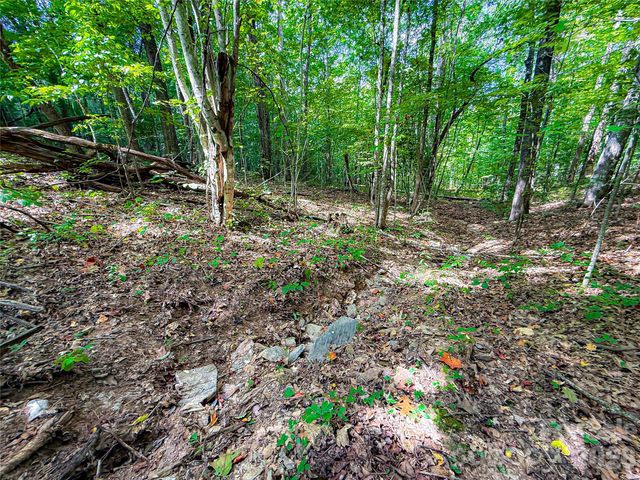 99999 High Top Mountain Road Lots 1, 2 & 3, Leicester, NC 28748