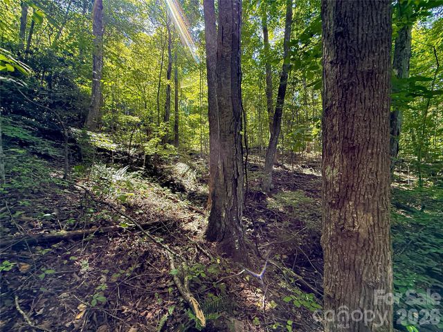99999 High Top Mountain Road Lots 1, 2 & 3, Leicester, NC 28748