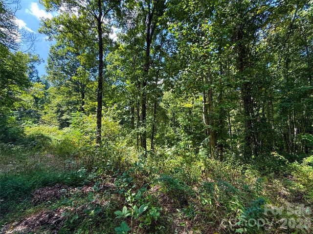 99999 High Top Mountain Road Lots 1, 2 & 3, Leicester, NC 28748
