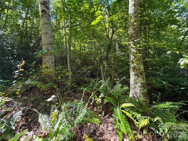 99999 High Top Mountain Road Lots 1, 2 & 3, Leicester, NC 28748