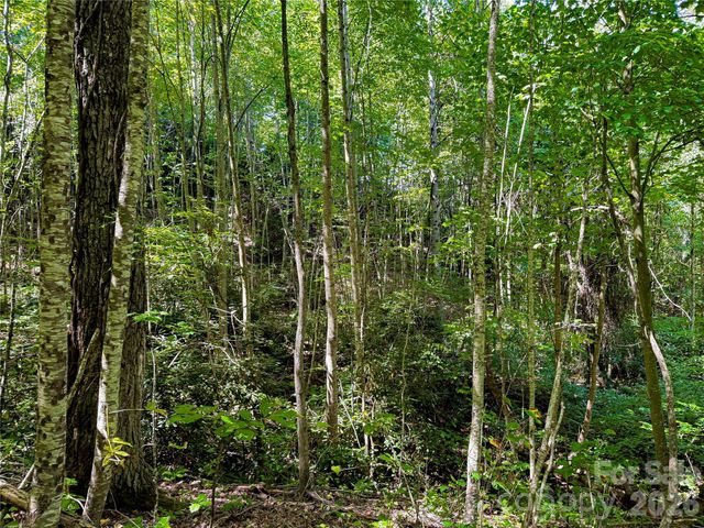 99999 High Top Mountain Road Lots 1, 2 & 3, Leicester, NC 28748
