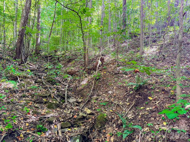 99999 High Top Mountain Road Lots 1, 2 & 3, Leicester, NC 28748