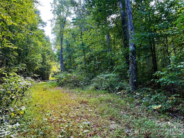 99999 High Top Mountain Road Lots 1, 2 & 3, Leicester, NC 28748
