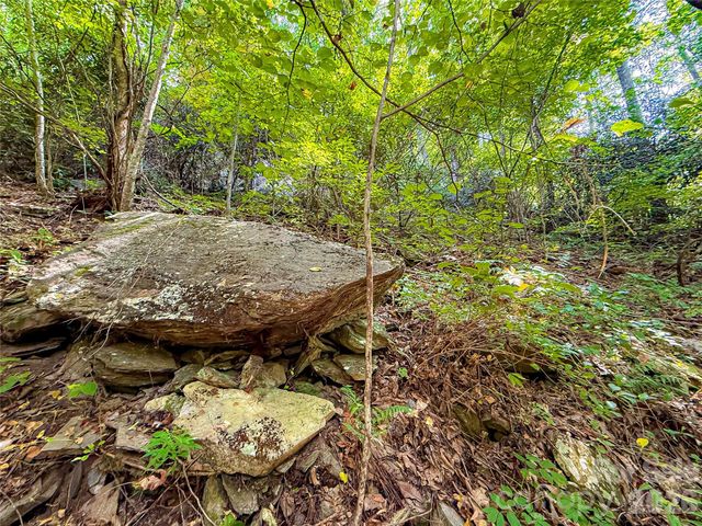99999 High Top Mountain Road Lots 1, 2 & 3, Leicester, NC 28748