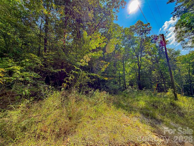 99999 High Top Mountain Road Lots 1, 2 & 3, Leicester, NC 28748