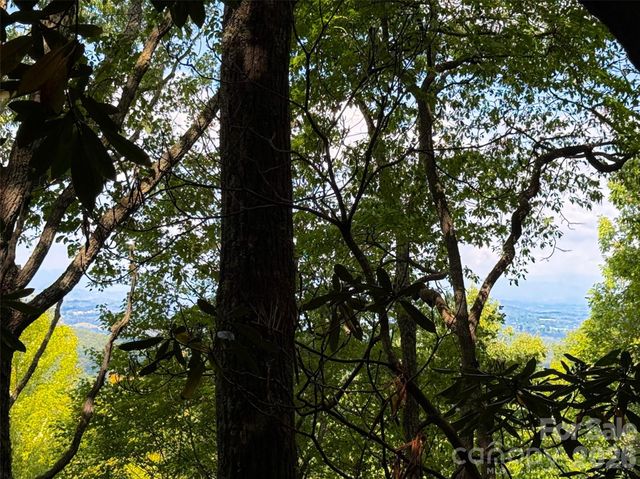 99999 High Top Mountain Road Lots 1, 2 & 3, Leicester, NC 28748