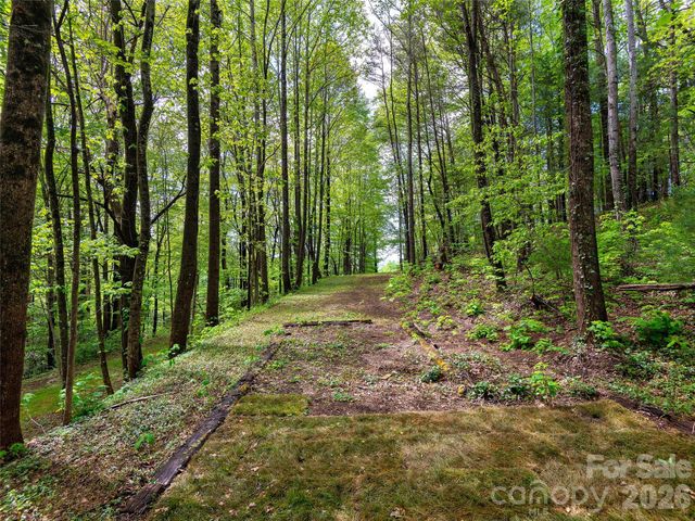 209 Ivy Hill Road, Hendersonville, NC 28792