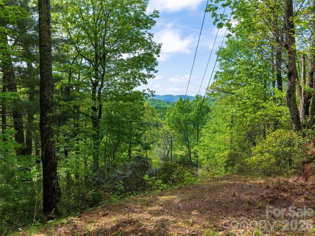 209 Ivy Hill Road, Hendersonville, NC 28792