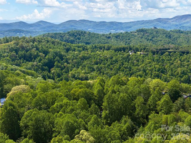 209 Ivy Hill Road, Hendersonville, NC 28792