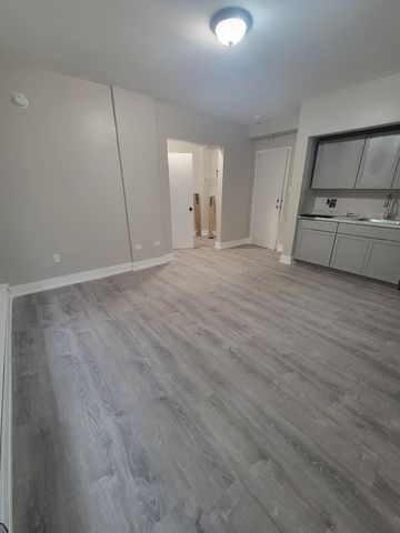 312 N Central Avenue 209, Chicago, IL 60644