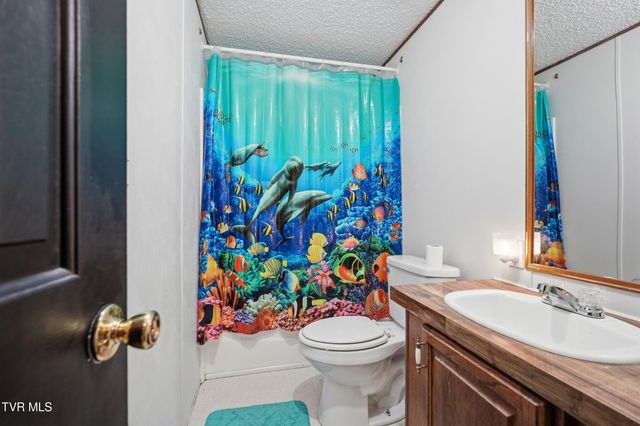 305 Browders Chapel Road, Hiltons, VA 24258