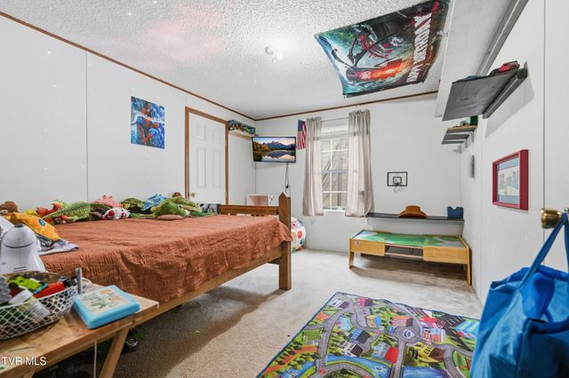 305 Browders Chapel Road, Hiltons, VA 24258