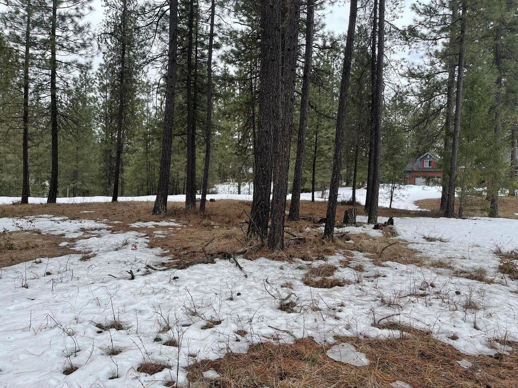 4XX Couples Ct, Chewelah, WA 99109 photo 3