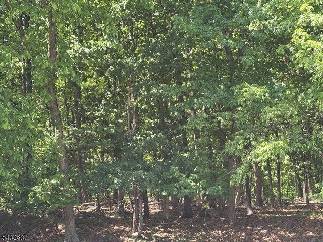 61 Howell Drive, West Orange Twp., NJ 07052